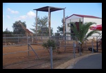 Pafos Zoo -30-05-2017 - Bogdan Balaban